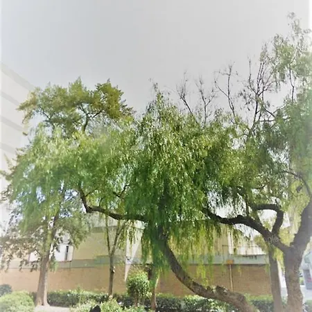 شقة Duplex Near Center Lovely *