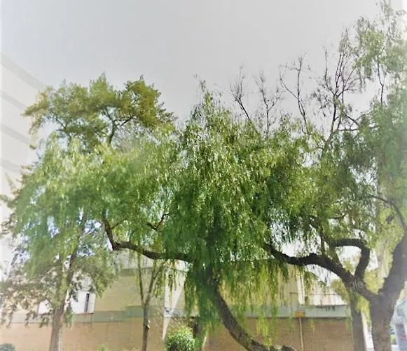 Apartamento Duplex Near Center Lovely *